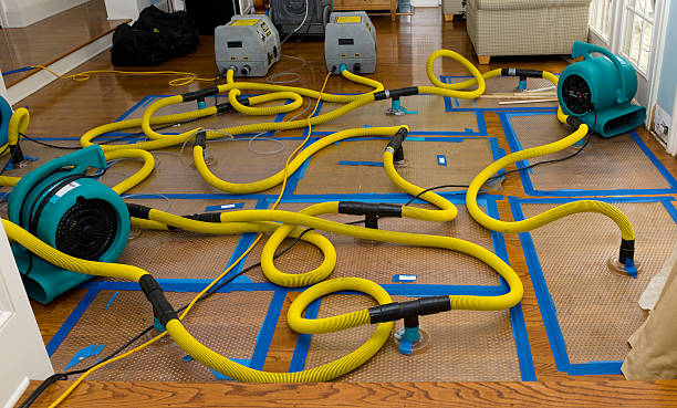 Professional Water Extraction technician working in Kincaid, IL