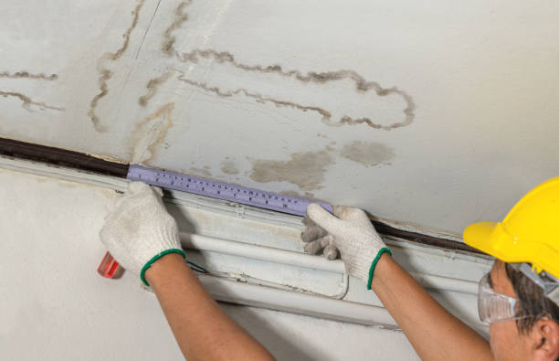 Affordable Water Damage Repair solutions in Kincaid, IL